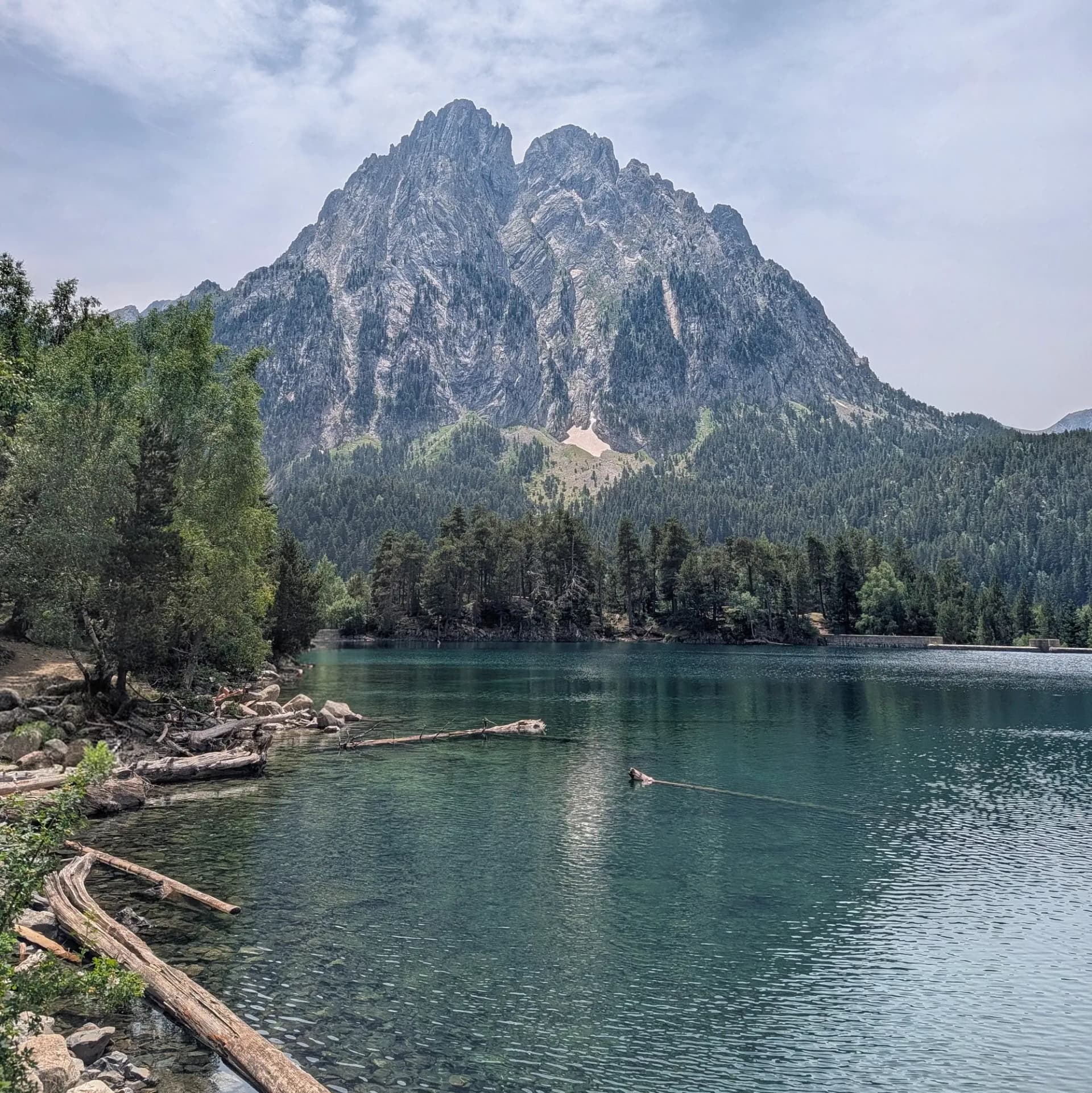 Llac de muntanya turquesa amb riba rocosa, pins verds i muntanya imponent sota cel ennuvolat. Trons flotant i submergits.