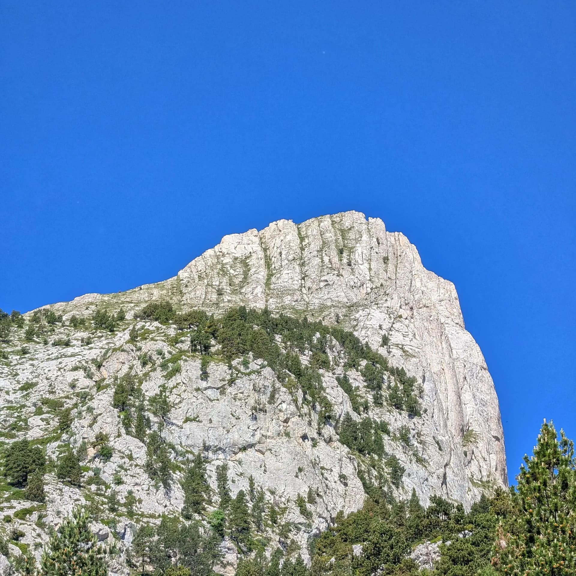 Rugged, rocky face of Pollegó Inferior mountain with sparse green vegetation under a clear blue sky.
