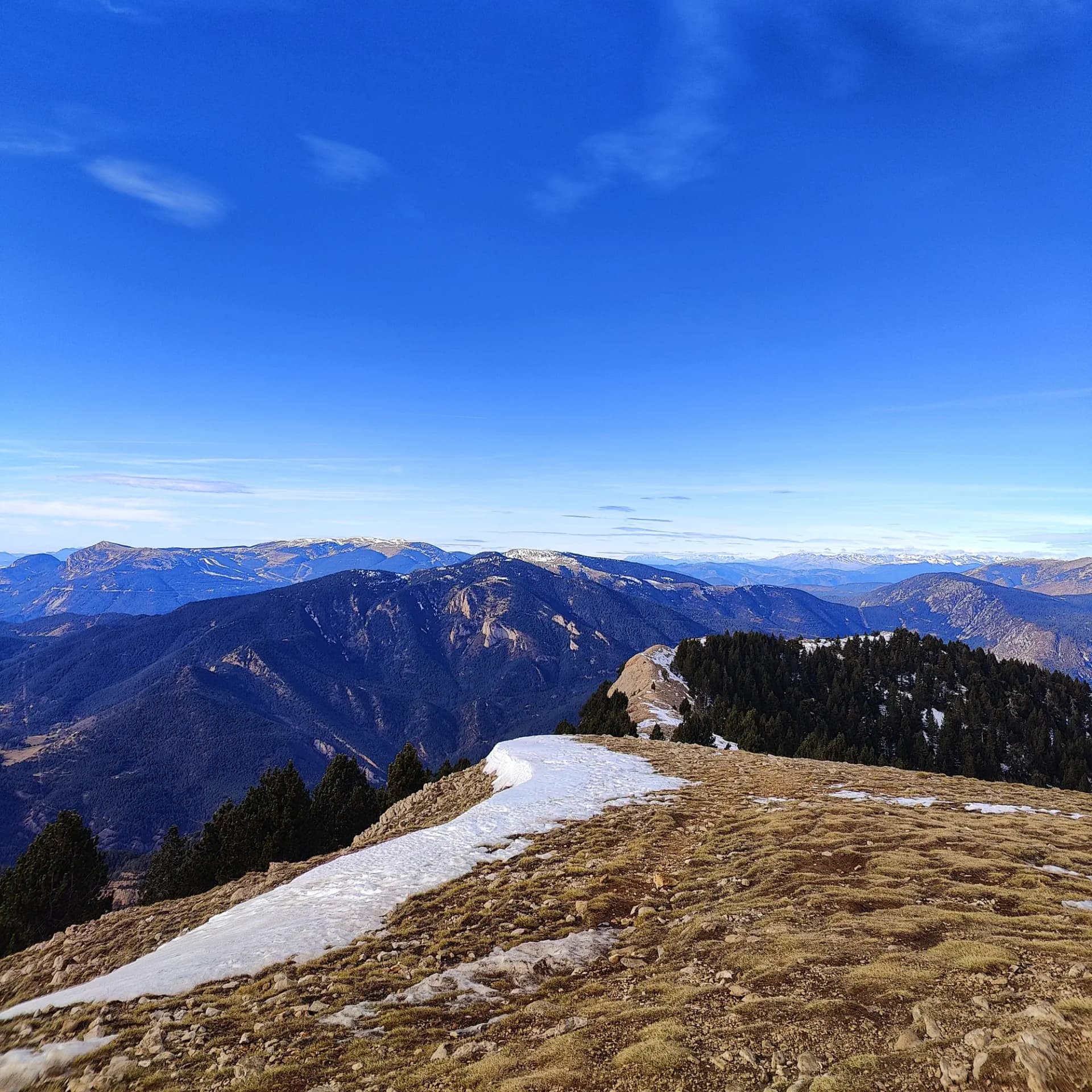 Vista panorámica de montañas con nieve y bosques bajo un cielo azul claro.