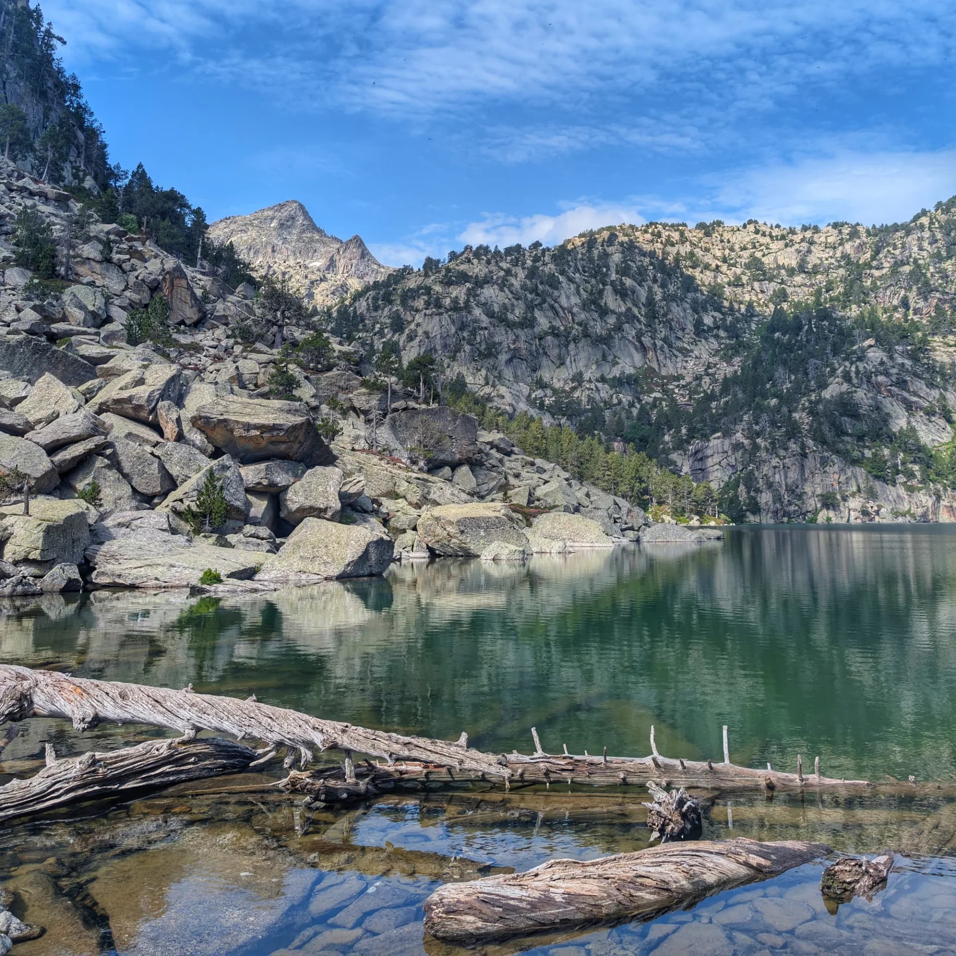 Estany Negre de Cabanes, envoltat de bosc Estany Negre de Cabanes, envoltat de bosc