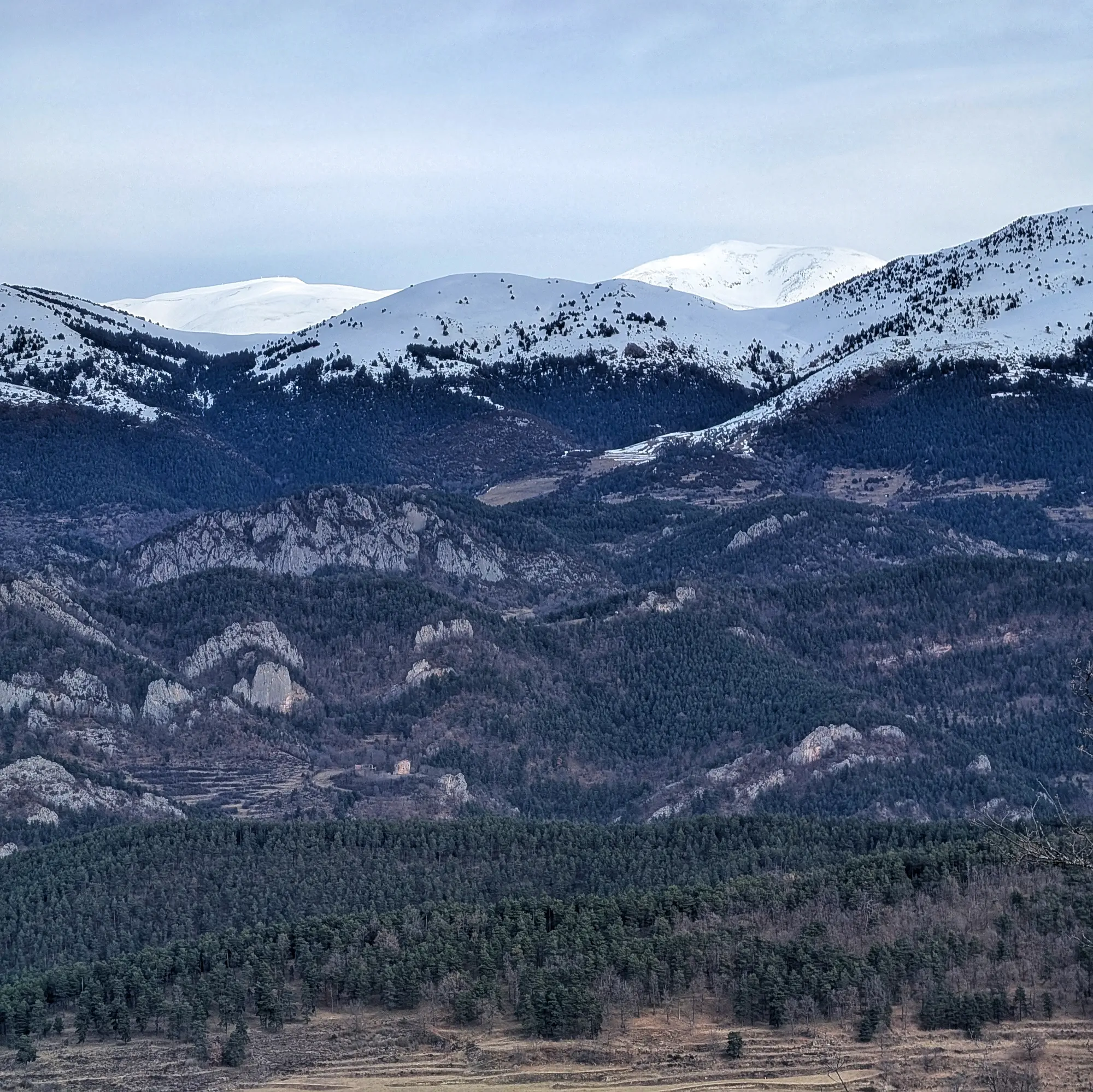 Vistes en primer pla des del cim de l'Emperadora, a la serra de Montgrony. Al fons s'identifiquen la Tossa del Pas dels Lladres (esquerra) i el Puigmal (dreta), ambdós al Parc Natural de les Capçaleres del Ter i del Freser. Fotografia realitzada durant l'ascens al Pedró de Tubau. Primer pla del cim de l'Emperadora amb la Tossa del Pas dels Lladres i el Puigmal al fons.