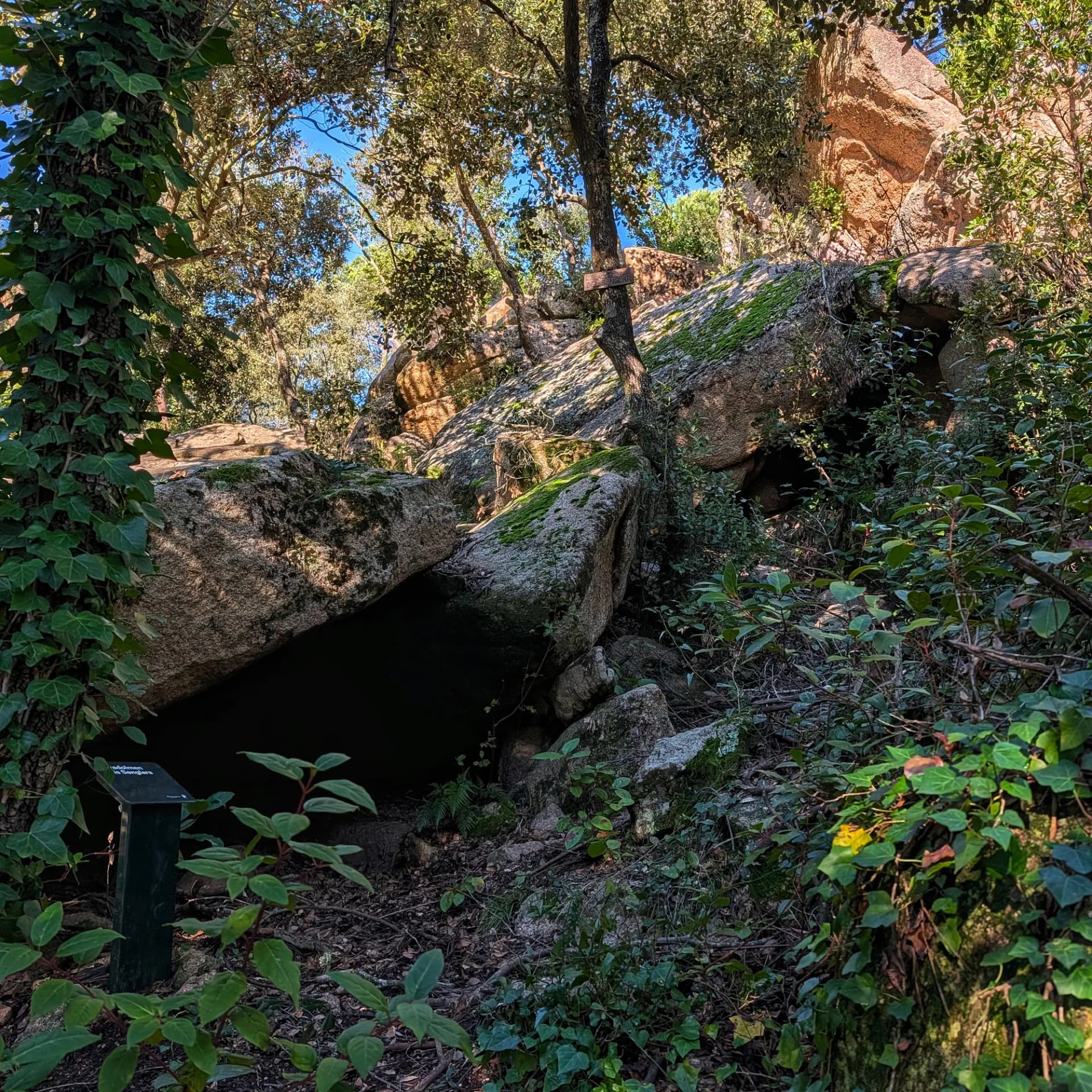 El Paradolmen dels Senglars, una impressionant estructura megalítica prehistòrica que combina grans blocs de pedra i formacions rocoses naturals. Situat en un entorn natural, aquest monument testimonia l'enginy i les pràctiques culturals de les societats antigues. Paradolmen dels Senglars, estructura megalítica prehistòrica de grans pedres integrada al paisatge natural.