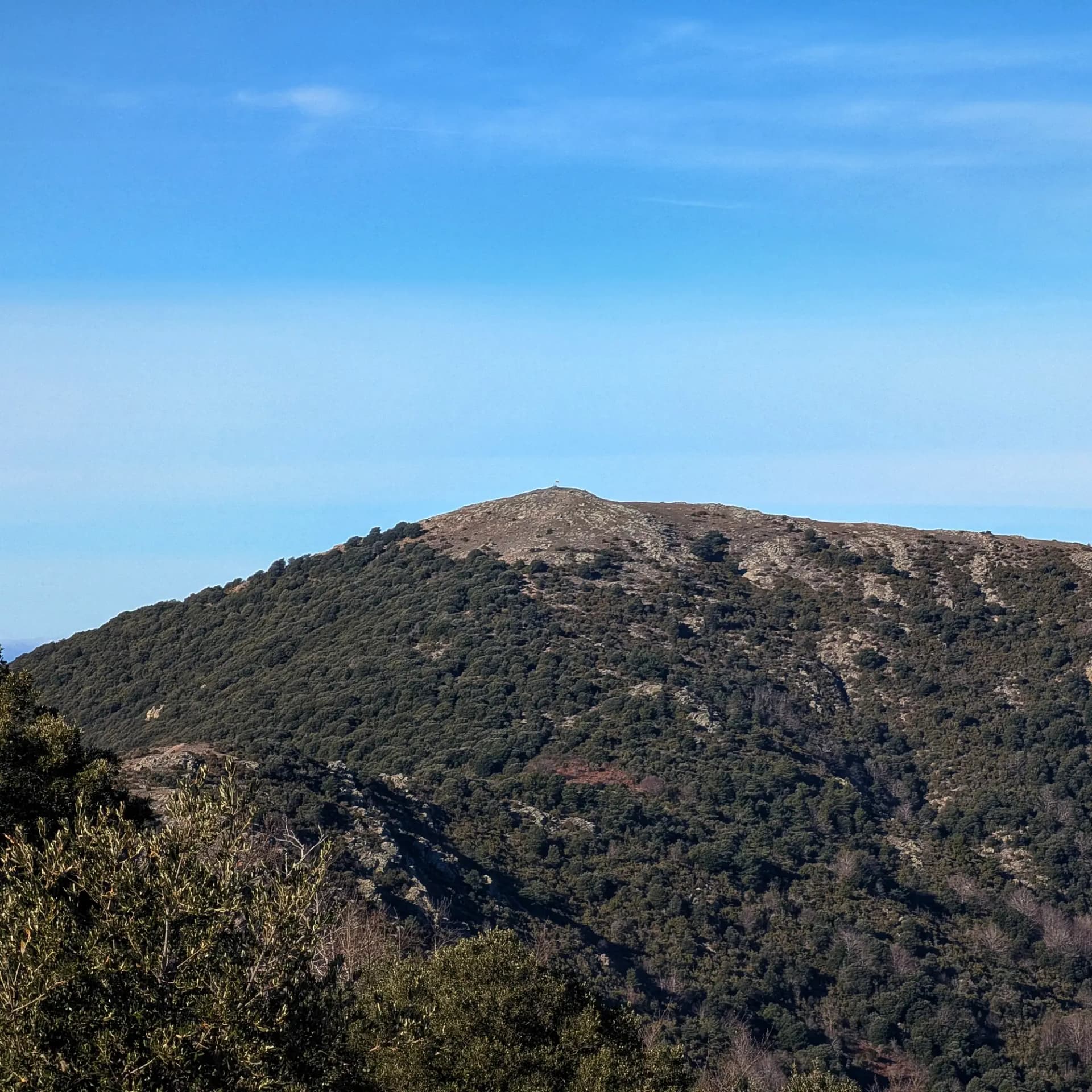 Vistas panorámicas de la cima del Sui, capturadas desde el Turó del Samont. Cima del Sui vista desde el Turó del Samont, paisaje natural.