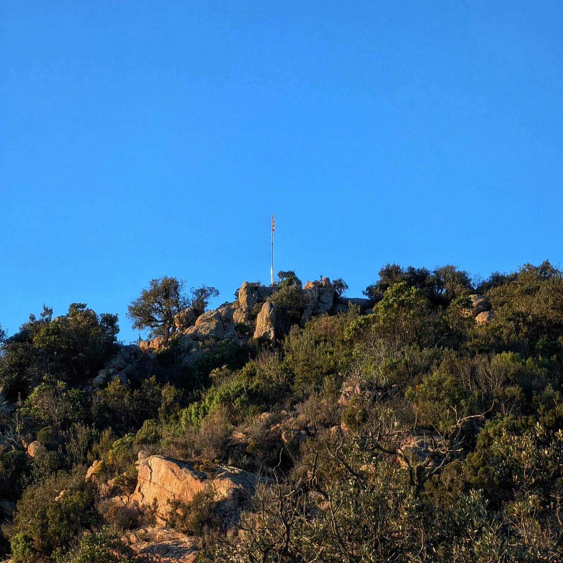 Vista del cim del Puig de les Cols, on es pot observar l'entorn natural i la vegetació característica de la zona. Cim del Puig de les Cols amb paisatge muntanyós i vegetació.