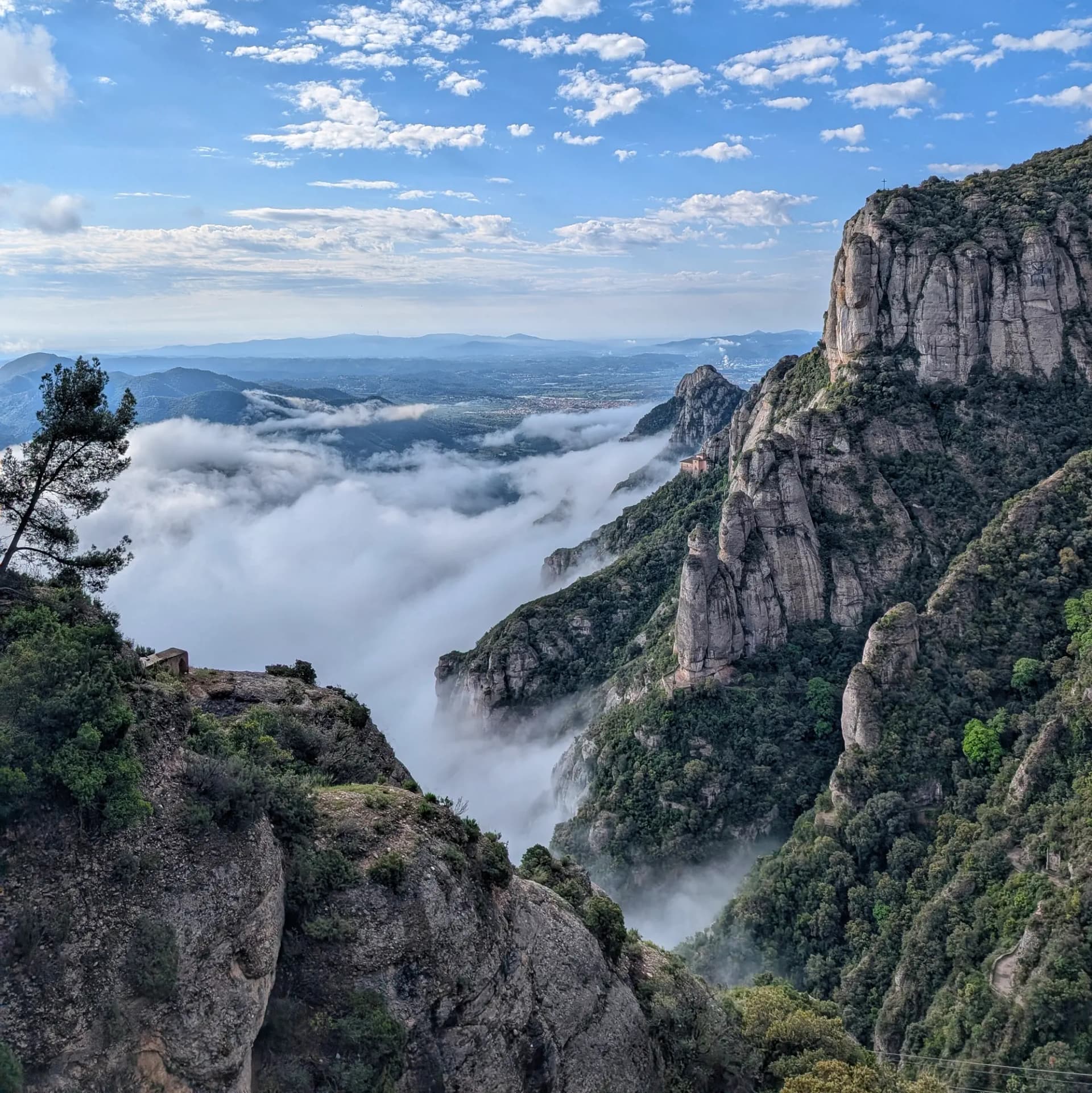 Una impresionante vista panorámica desde Montserrat, con sus distintivos picos rocosos emergiendo de un mar de nubes. Las laderas verdes adornan las montañas bajo un cielo azul vibrante. Picos rocosos dentados de Montserrat, con valles envueltos en niebla blanca, árboles verdes y un cielo azul con nubes dispersas.