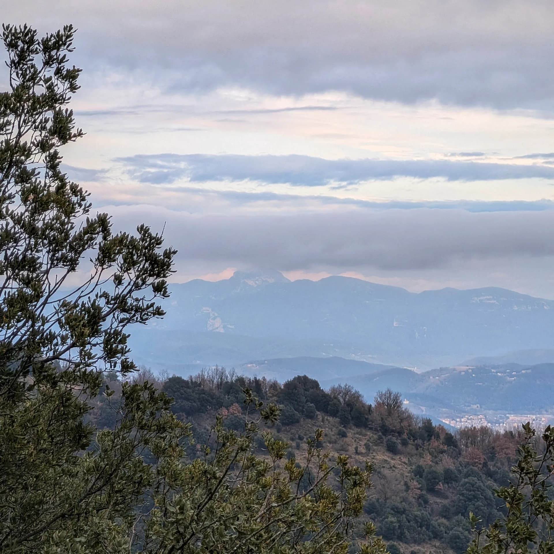 Vistes panoràmiques cap al Puig de Bassegoda, parcialment cobert per la boira, capturades des del Puig del Soi. La imatge es pren durant l'ascens cap als Ganxos Nous, en una ruta que s'inicia a Joanetes i es dirigeix cap a Puig Corneli. Vistes muntanyoses amb Puig de Bassegoda parcialment cobert per la boira des de Puig del Soi.