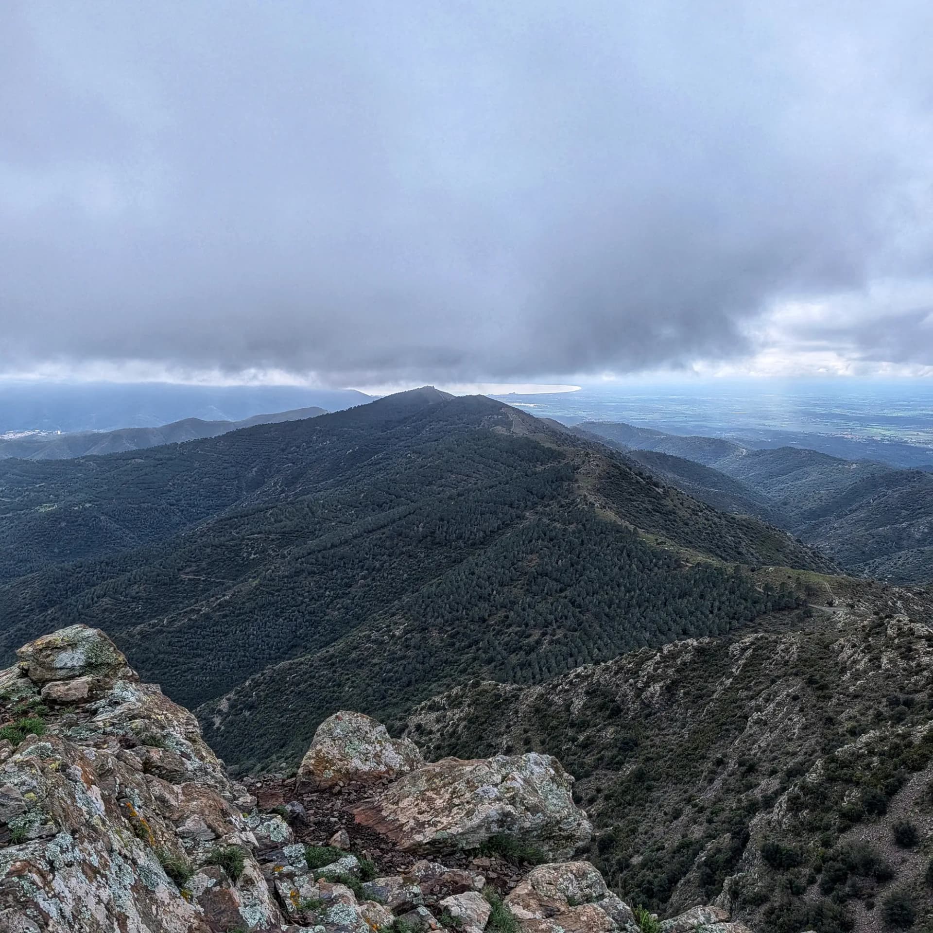 Panoramic views towards Puig d'Esquers from the summit of Orelles de la Mula. The landscape features forested mountains under a cloudy sky, with the coastline visible in the distance. View from Orelles de la Mula summit towards Puig d'Esquers, showing forested mountains, distant coast, and cloudy sky.