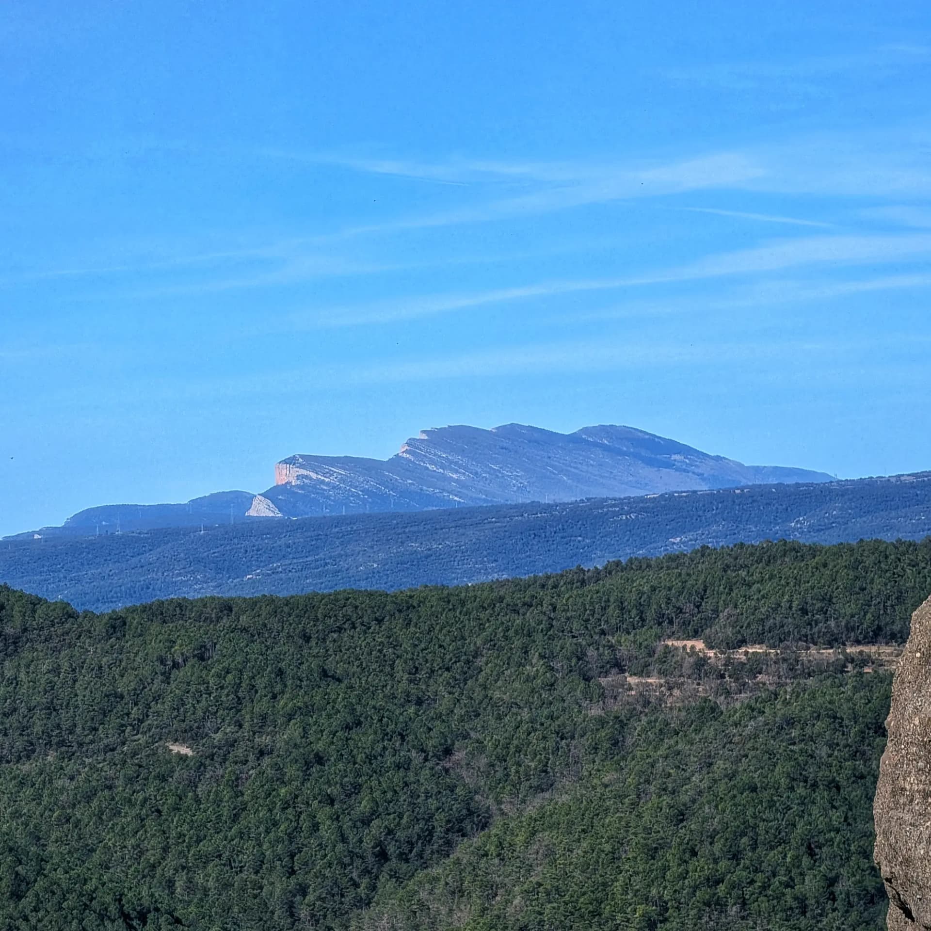 Vista panoràmica del Montsec de Rúbies, visible en la distància amb els seus característics cingles. La fotografia es pren des de les roques del Corb, a Sant Honorat, amb extenses masses forestals en primer pla sota un cel clar. Panoràmica del Montsec de Rúbies des de les roques del Corb, amb boscos i cel blau.