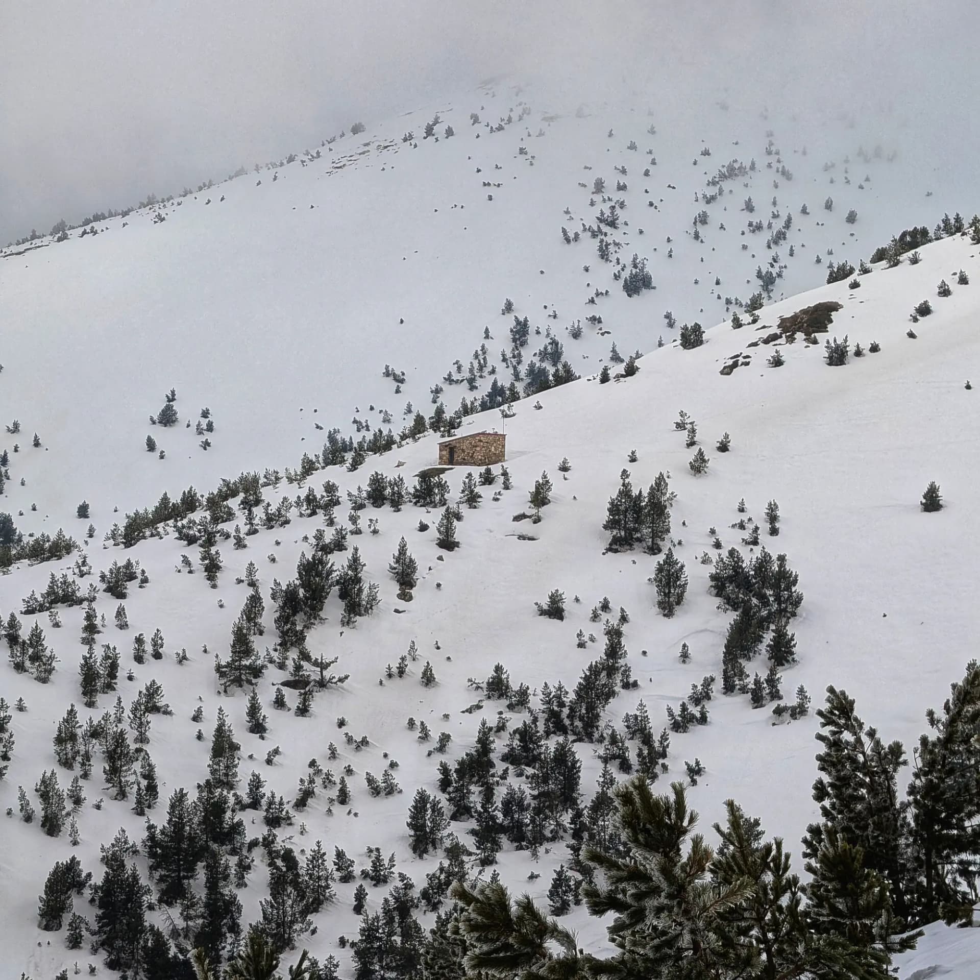 The Costabona Refuge, a stone building, stands in a snowy landscape with scattered pine trees under an overcast sky. Stone refuge on a snowy slope, surrounded by pine trees under an overcast sky.