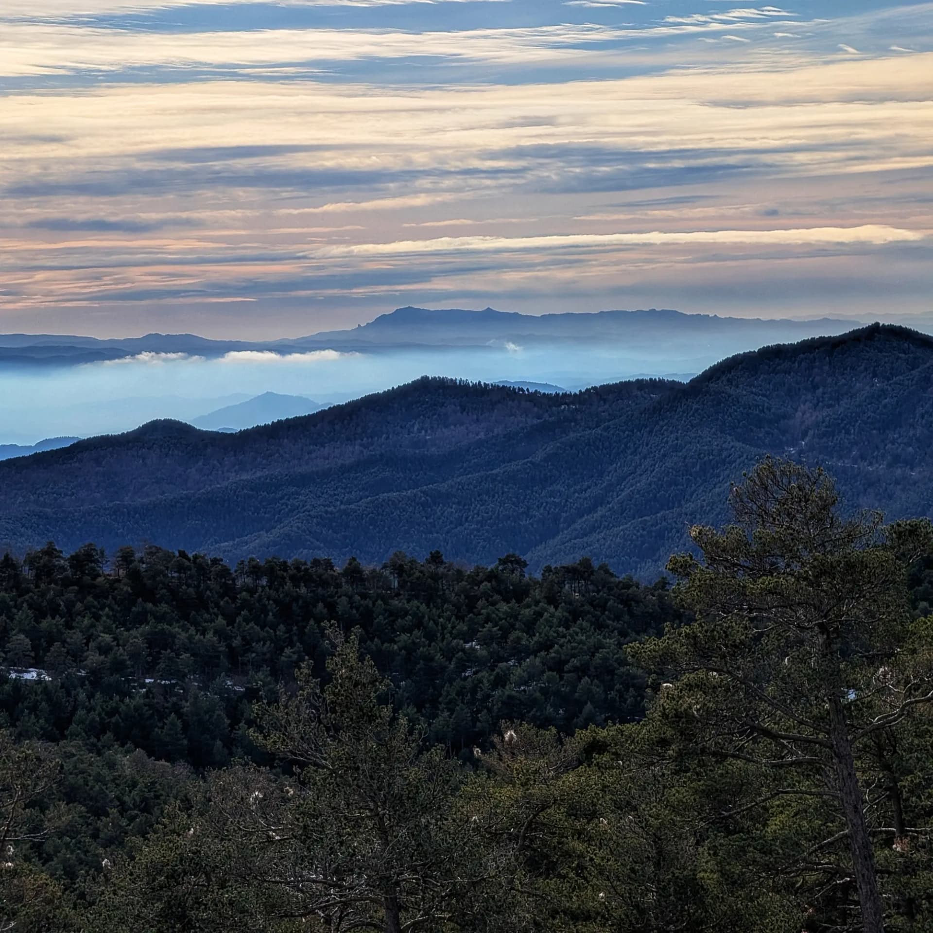 Vista panoràmica de la serra de l'Obac, amb La Mola del massís de Sant Llorenç del Munt i el Montcau destacant al centre. Capturada durant l'ascensió al Pedró de Tubau. Paisatge de la serra de l'Obac amb la Mola i Montcau al centre, durant l'ascensió al Pedró de Tubau.