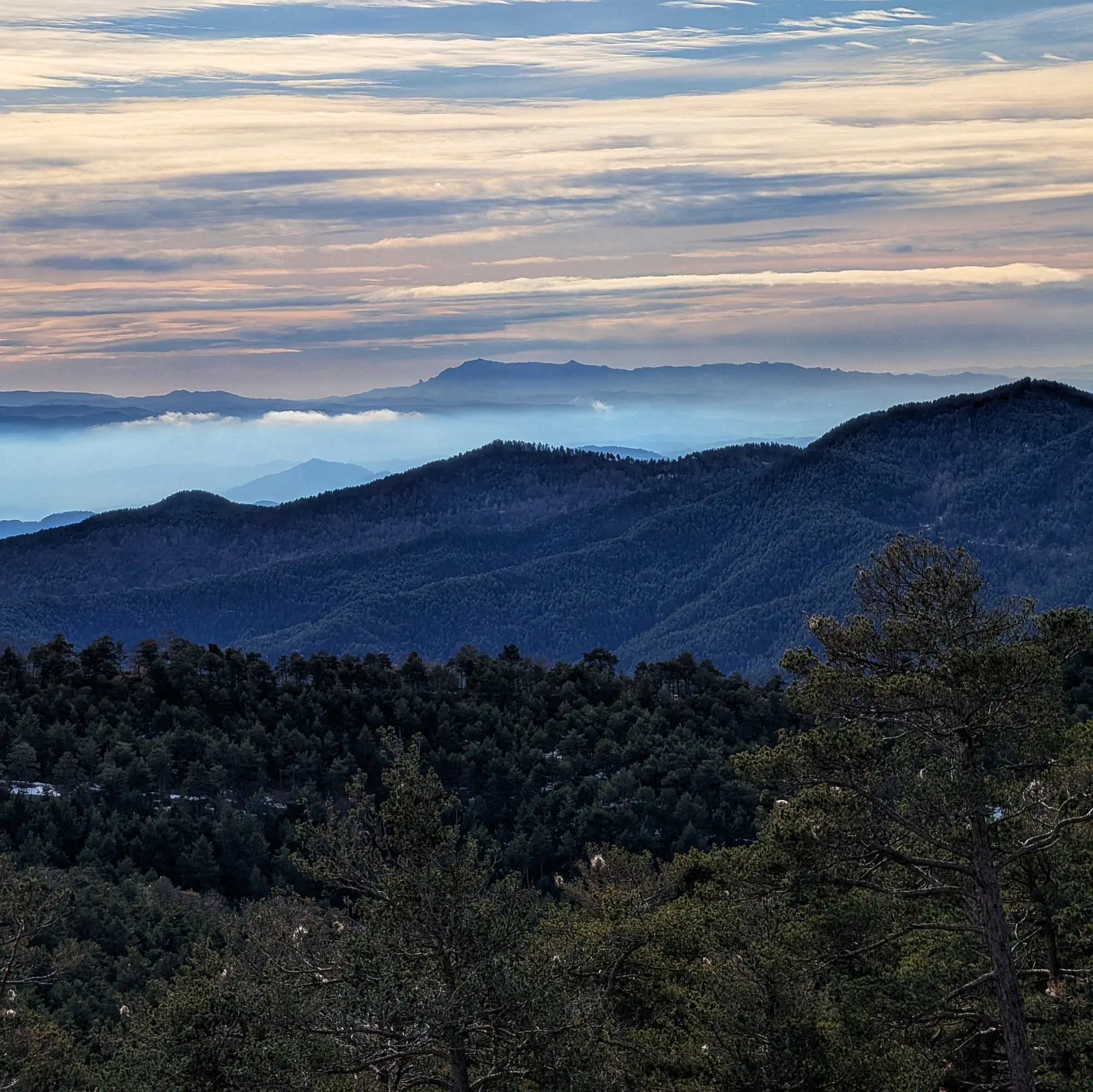 Vista panoràmica de la serra de l'Obac, amb La Mola del massís de Sant Llorenç del Munt i el Montcau destacant al centre. Capturada durant l'ascensió al Pedró de Tubau. Paisatge de la serra de l'Obac amb la Mola i Montcau al centre, durant l'ascensió al Pedró de Tubau.