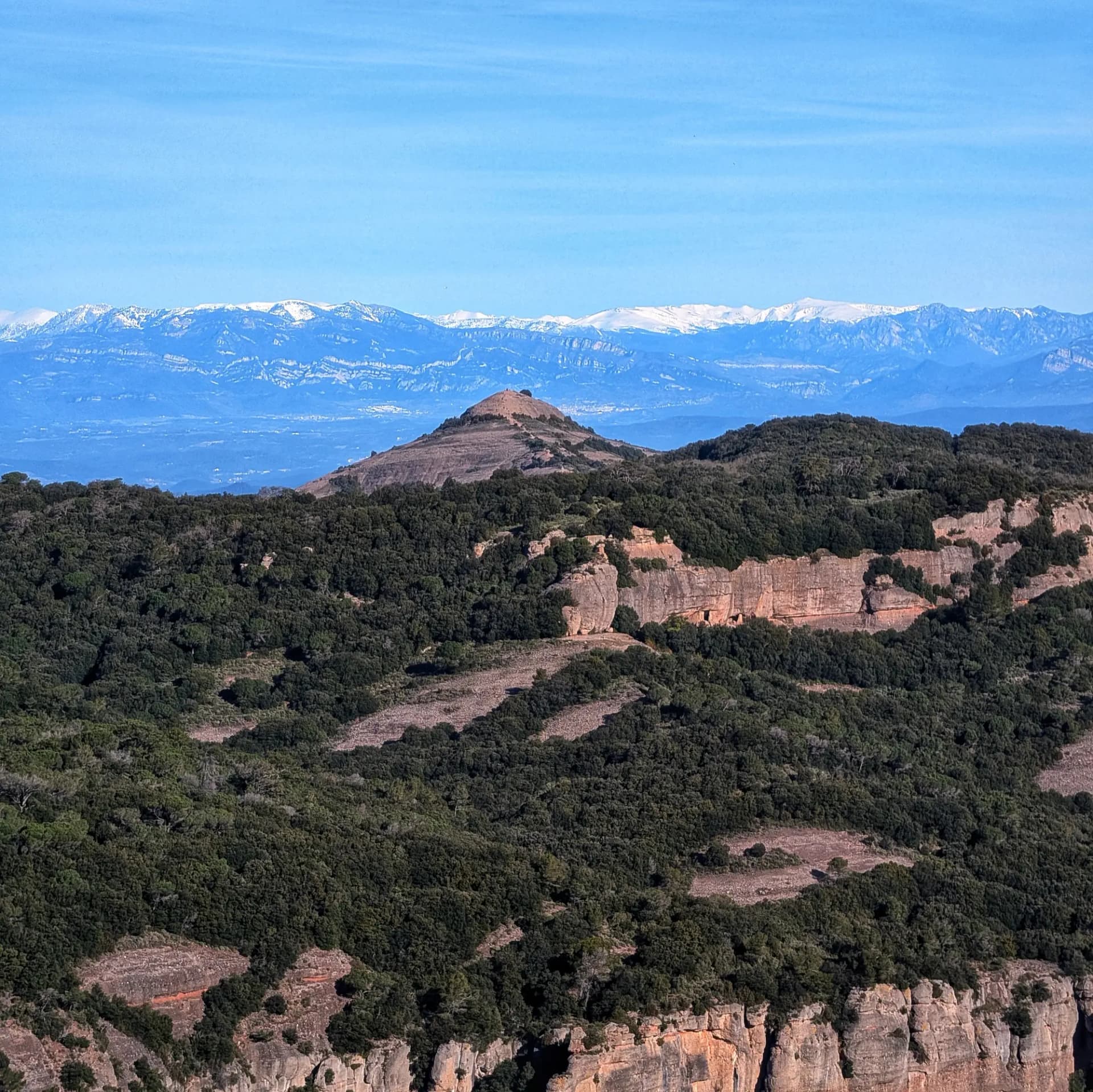 Vista de la montaña de Montcau desde La Mola de Sant Llorenç, durante una ruta por el Parque Natural de Sant Llorenç del Munt i l'Obac. Al fondo se aprecian los picos nevados de los Pirineos. Vista panorámica de Montcau con densa vegetación, formaciones rocosas y picos nevados de los Pirineos bajo un cielo azul claro.