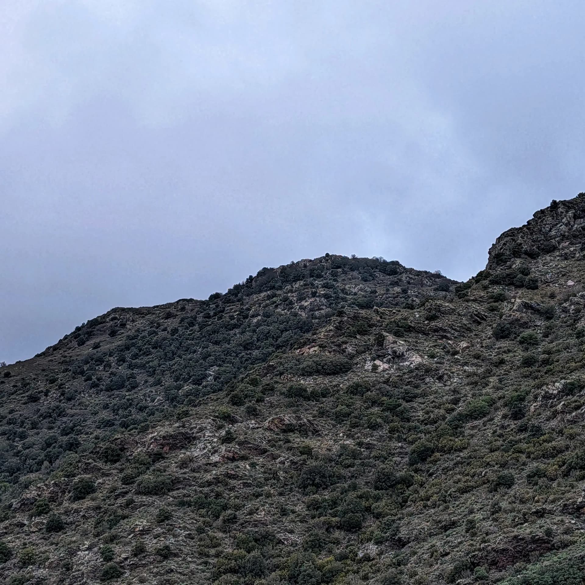 Vistas del Puig d'en Jordà. La montaña se presenta cubierta por una densa vegetación mediterránea, bajo un cielo nublado. Montaña rocosa cubierta de vegetación verde bajo un cielo gris nublado.