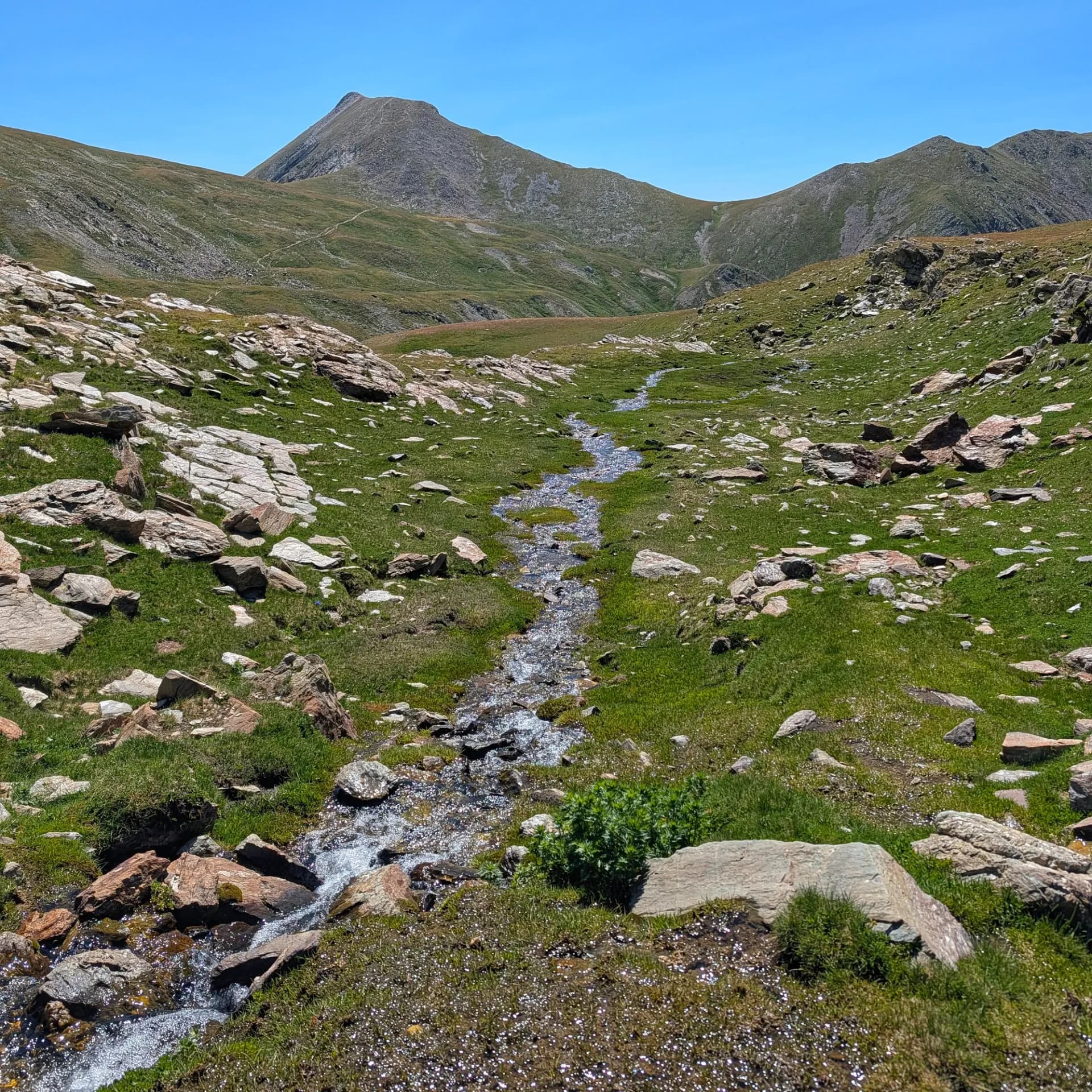 A clear mountain stream descends through the vibrant green slopes and rocky terrain from Vallter 2000, part of the scenic route to Bastiments, Pic de l'Infern, and Gra de Fajol. Winding stream flows through a rocky, green alpine valley under a clear blue sky with distant mountains.