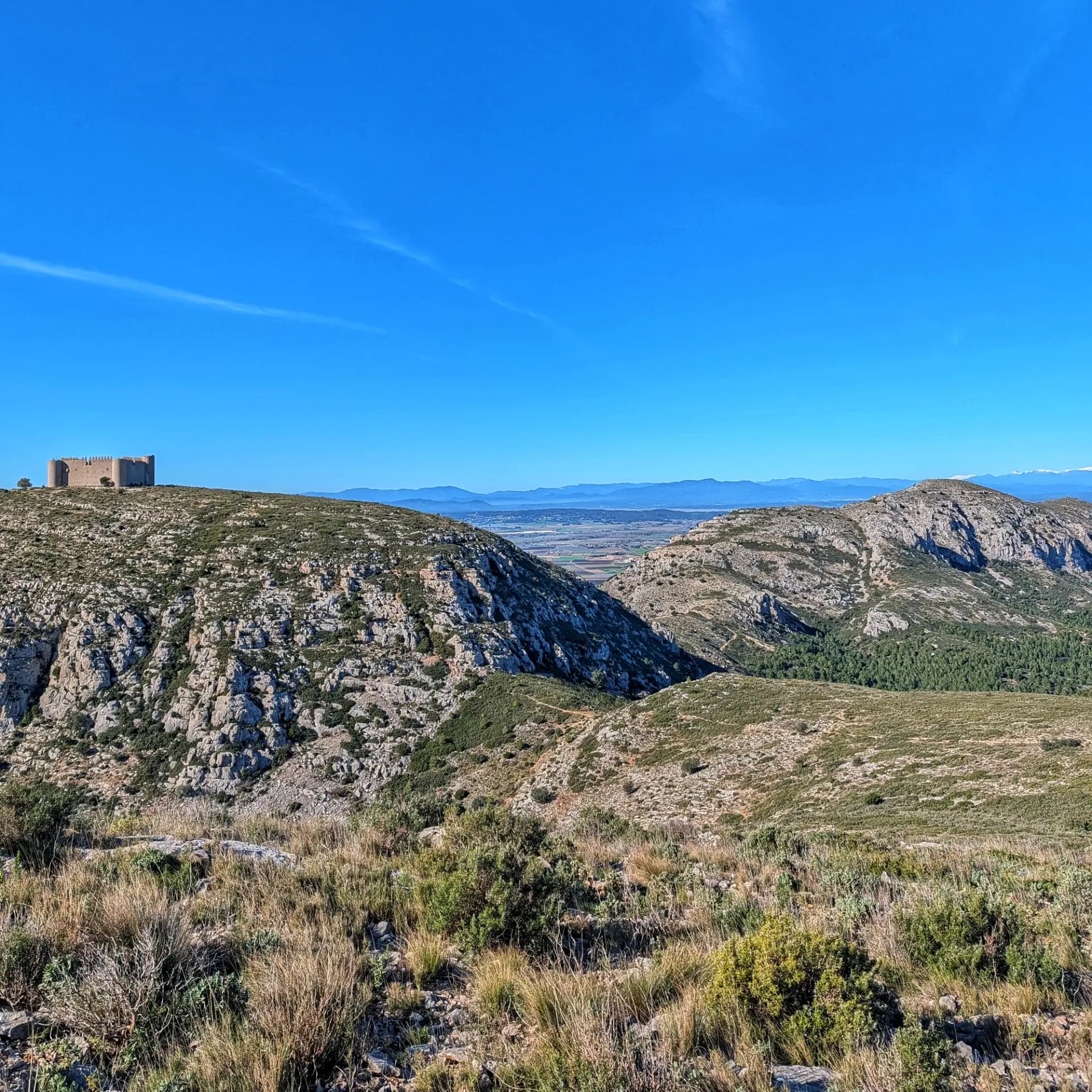 Vista panoràmica del Massís del Montgrí, destacant el Castell del Montgrí dalt d'un turó rocós. El paisatge es compon de vegetació mediterrània de matoll i farratge sec, amb una vall al fons i altres serres a la llunyania sota un cel blau clar. Vista panoràmica del Massís del Montgrí amb el Castell del Montgrí sobre un turó rocós sota un cel blau.