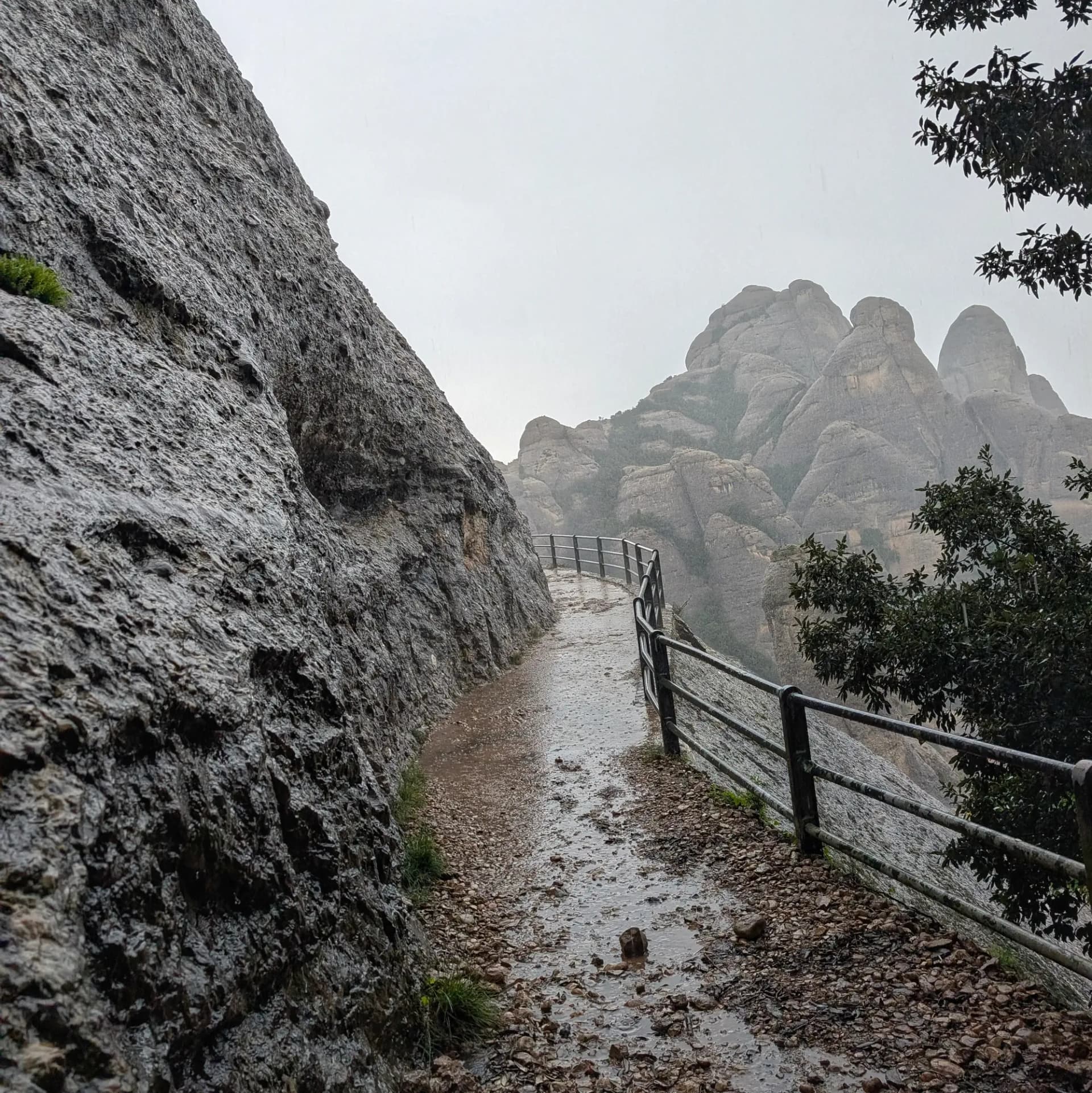 Un día lluvioso en el camino de Sant Jeroni y Miranda de Santa Magdalena desde el Monasterio de Montserrat, mostrando la belleza agreste de las montañas y el sendero mojado. Camino de montaña mojado bordeando un acantilado rocoso con barandilla, hacia cumbres redondeadas y neblinosas bajo cielo cubierto.