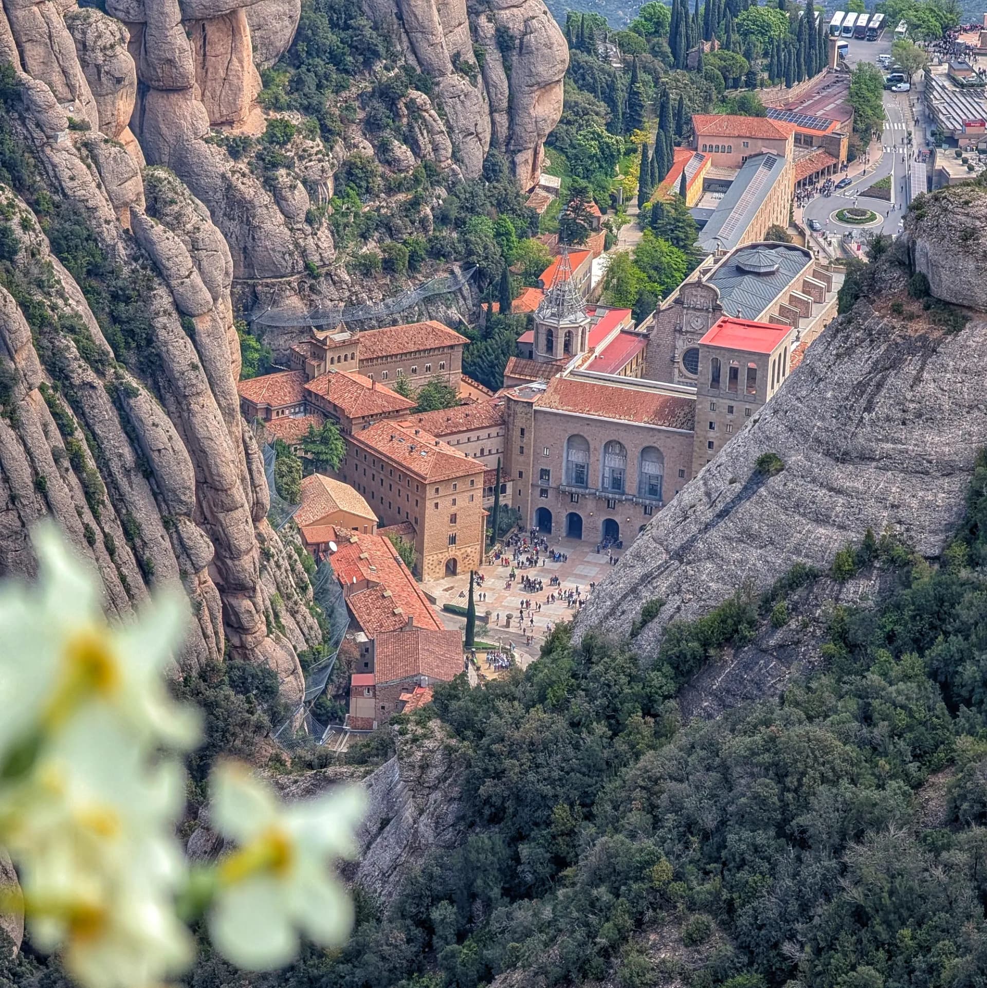 Panorámica del Monasterio de Montserrat, enclavado entre sus singulares formaciones rocosas y exuberante vegetación. Una vista impresionante desde rutas de senderismo como la de Sant Jeroni. Vista elevada del Monasterio de Montserrat entre formaciones rocosas escarpadas y vegetación, con flores blancas borrosas al frente.