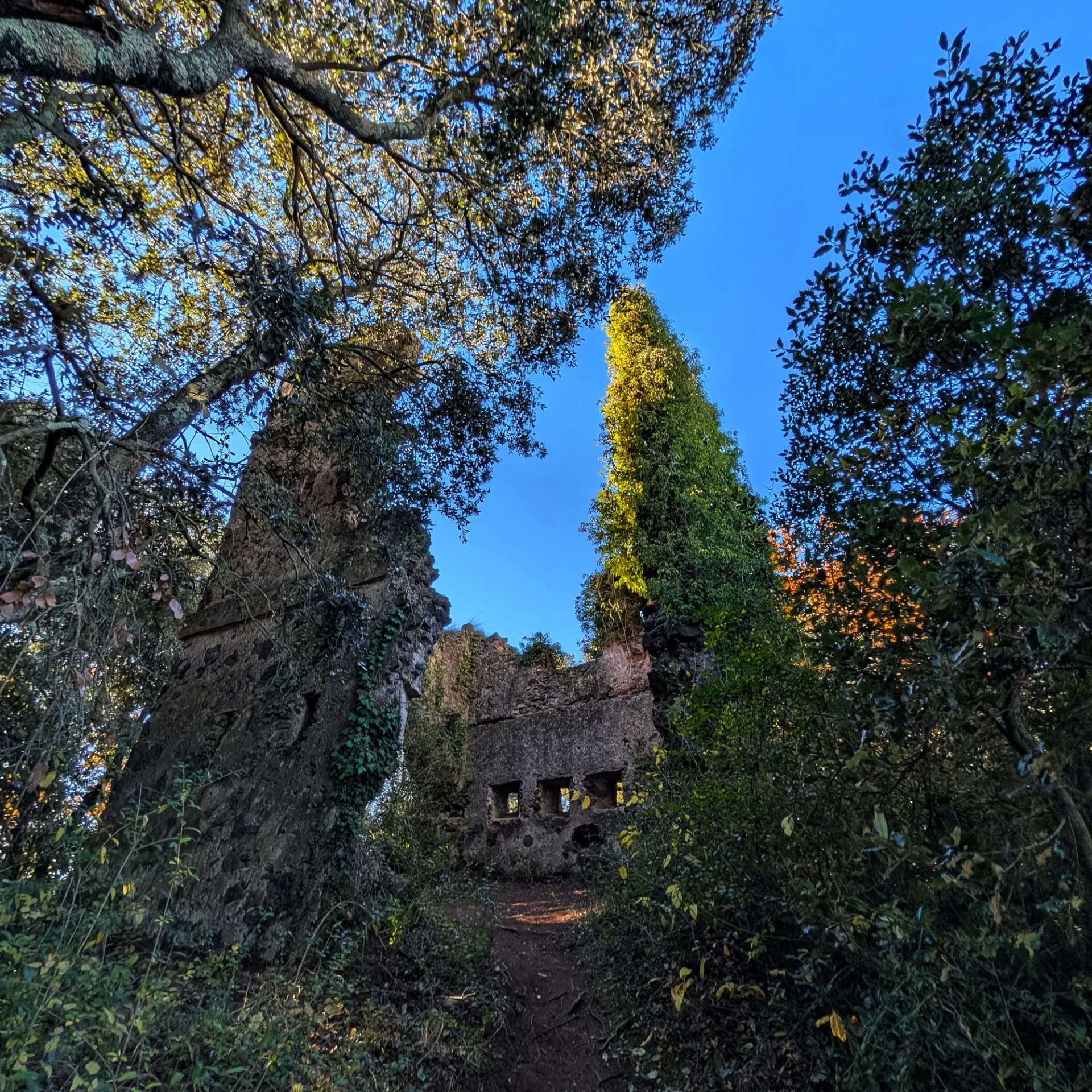 Cim rocós amb les ruïnes de la torre de telegrafia òptica militar núm. 67, part de la línia Girona-Olot. Cim i ruïnes de la torre militar de telegrafia òptica núm. 67.