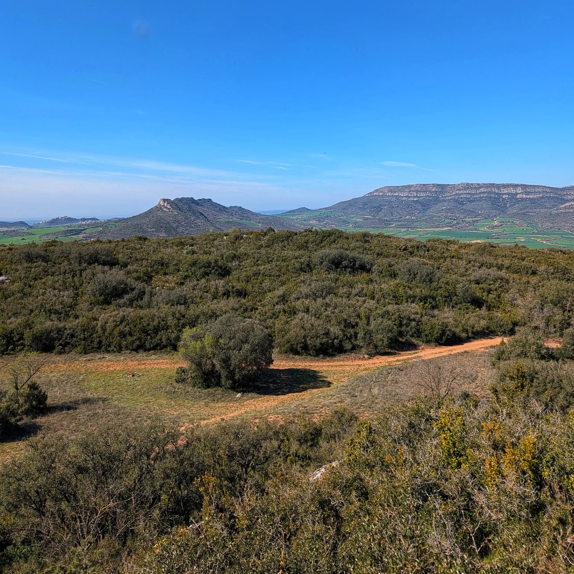 From the summit, a panoramic view of Mediterranean scrubland with a dirt path. Mountains and cultivated fields stretch to the horizon under a clear blue sky. Panoramic view from summit: scrubland, winding dirt path, and distant mountains under a clear blue sky.