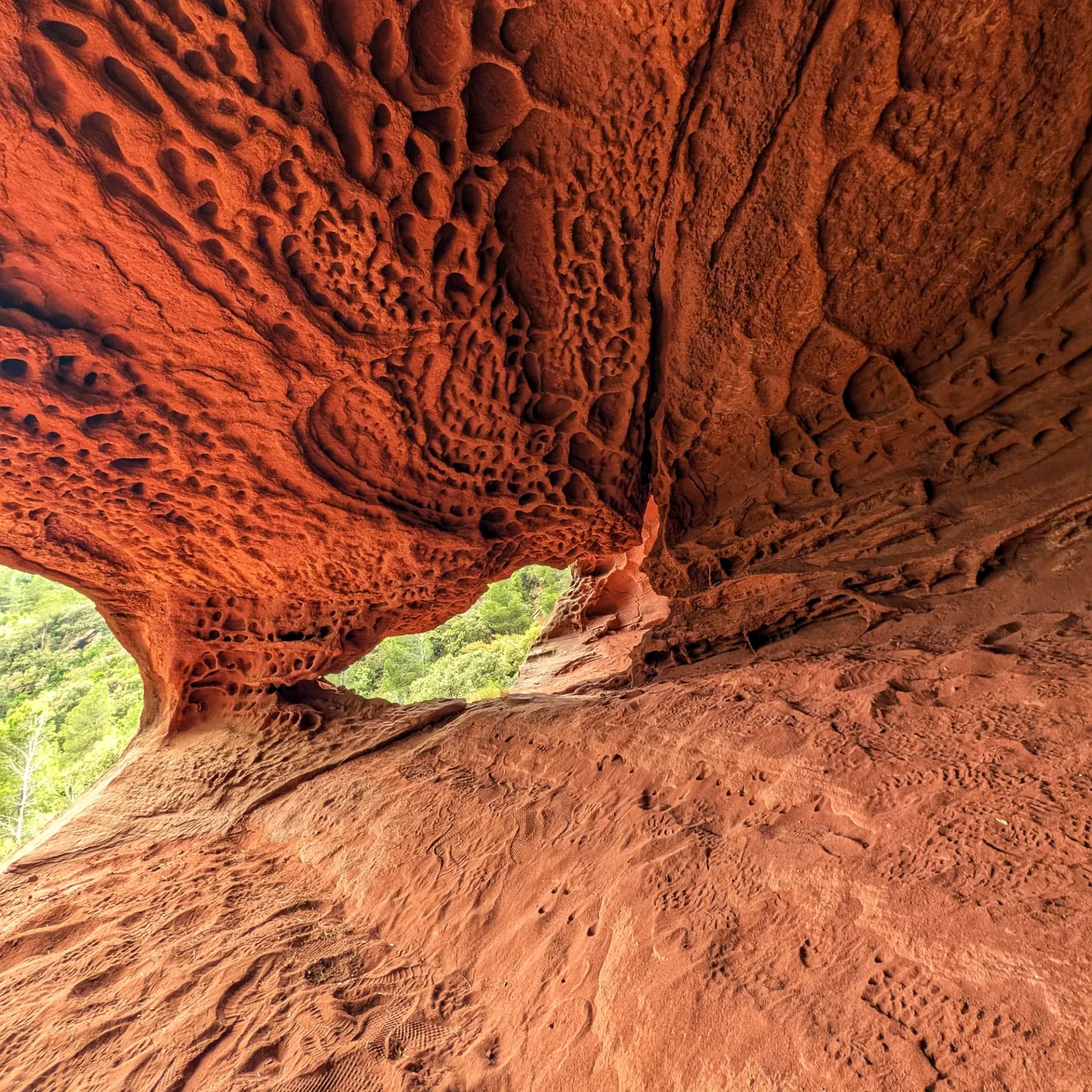 La Cova dels Dos Ulls, una singular formació rocosa de material Buntsandstein, mostra les seves parets ricament erosionades i una obertura cap a la vegetació exterior. Cova vermellosa de Buntsandstein amb formacions rocoses ondulades i obertura a la vegetació exterior.