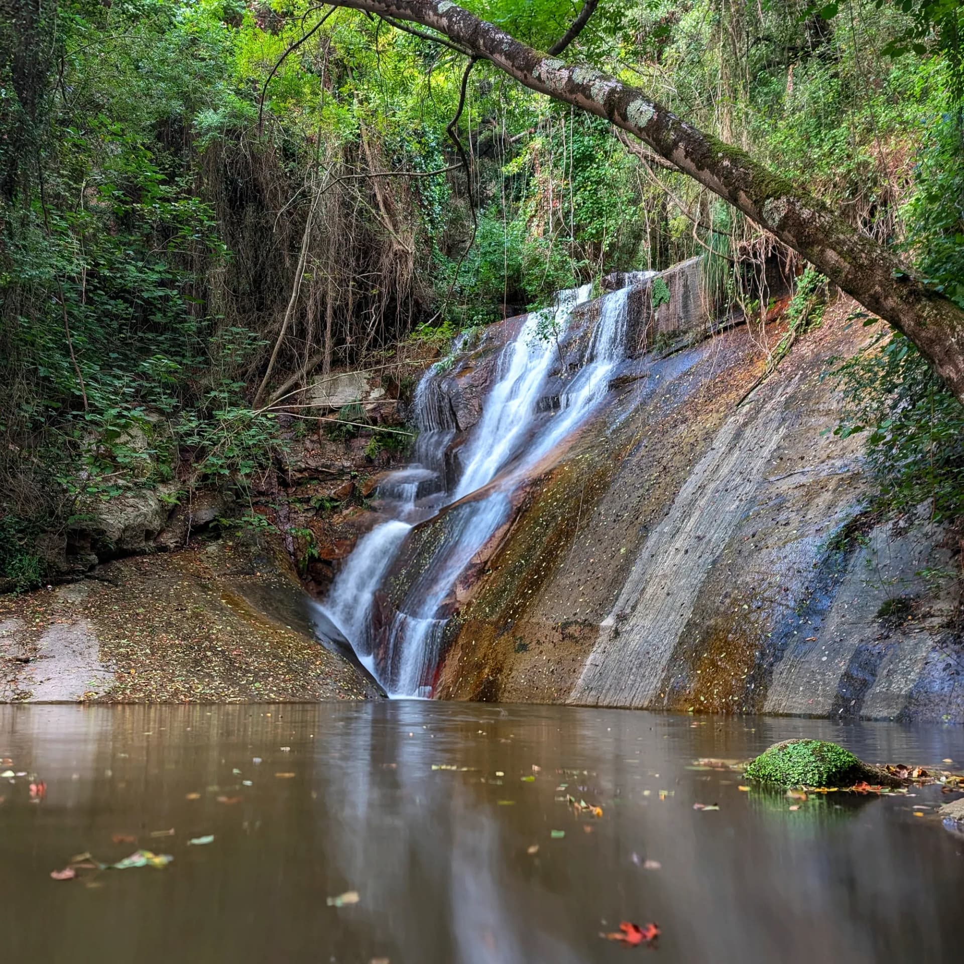 Salt de la Central Salt de la Central