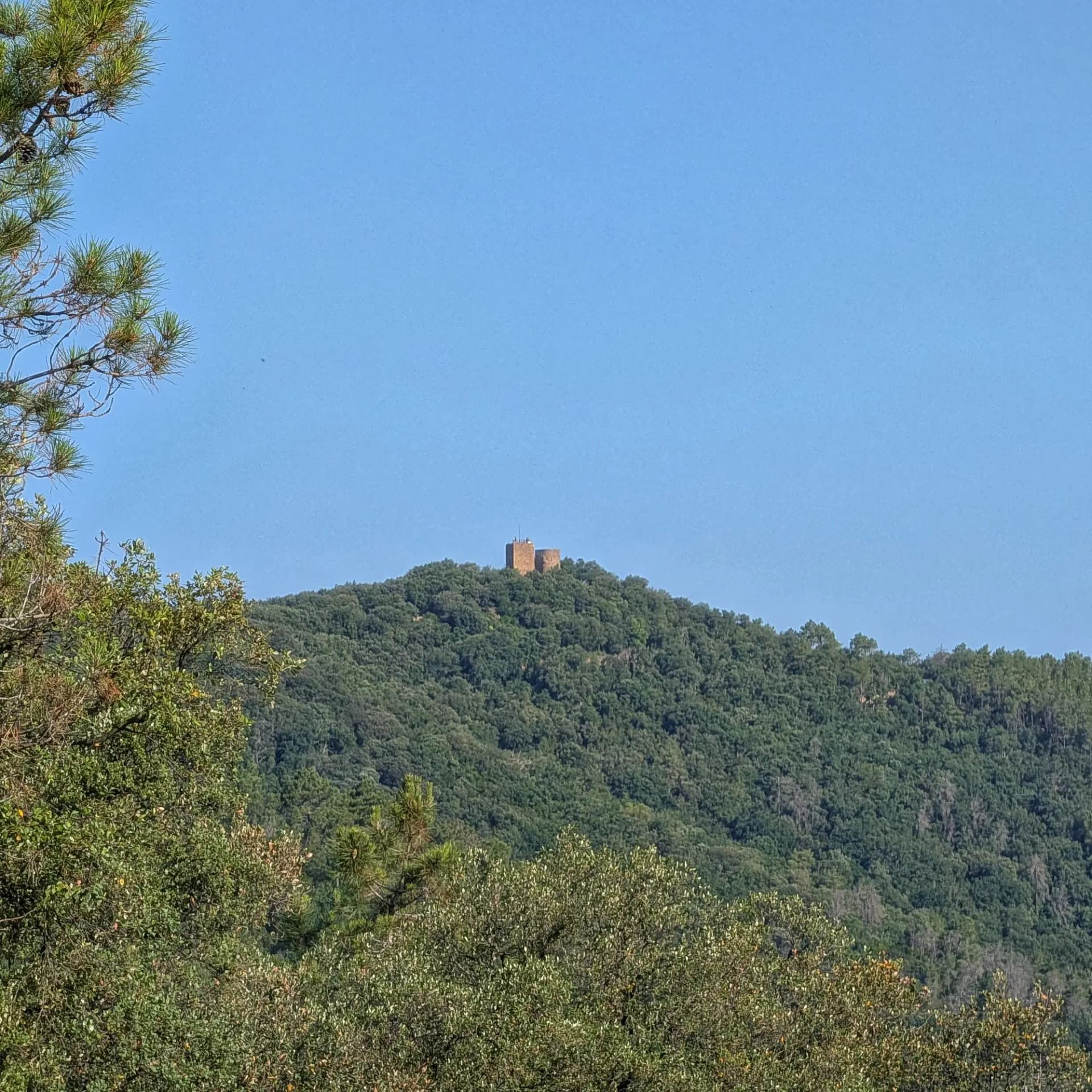 L'històric Castell de Sant Miquel s'alça dalt d'un turó verd exuberant, mostrant les seves antigues muralles de pedra contra un cel blau brillant. Ruïna de castell de pedra distant en un turó densament boscós sota un cel blau clar, emmarcada per branques d'arbres.
