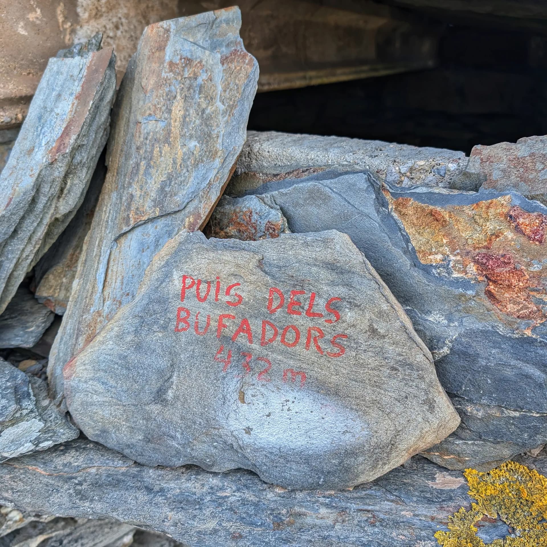 Senyalització del Puig dels Bufadors: una roca amb el nom del cim i la seva altitud de 432 metres. Detall d'una roca gris amb "PUIG DELS BUFADORS 432 m" pintat en vermell, entre roques texturades i líquens.