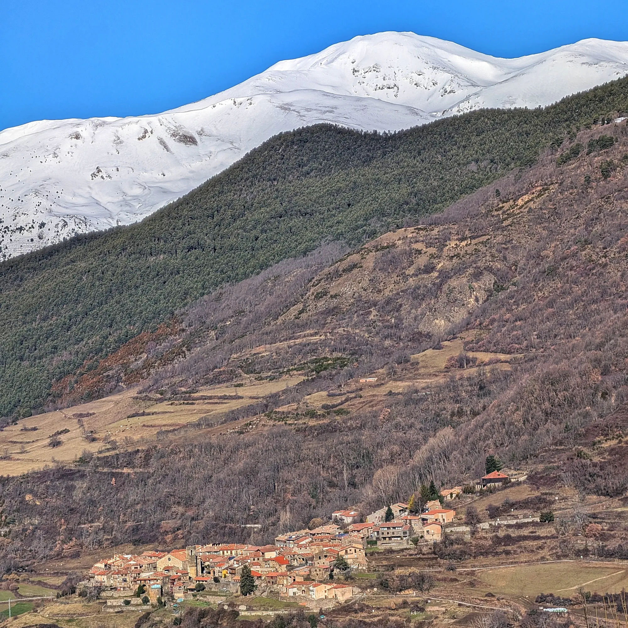 Panoràmica del Puigmal amb el poble de Pardines al primer pla, capturada durant l'ascens cap al Taga. La imatge destaca la bellesa natural del paisatge del Ripollès. Panoràmica del Puigmal amb el poble de Pardines al primer pla des del camí d'ascens.