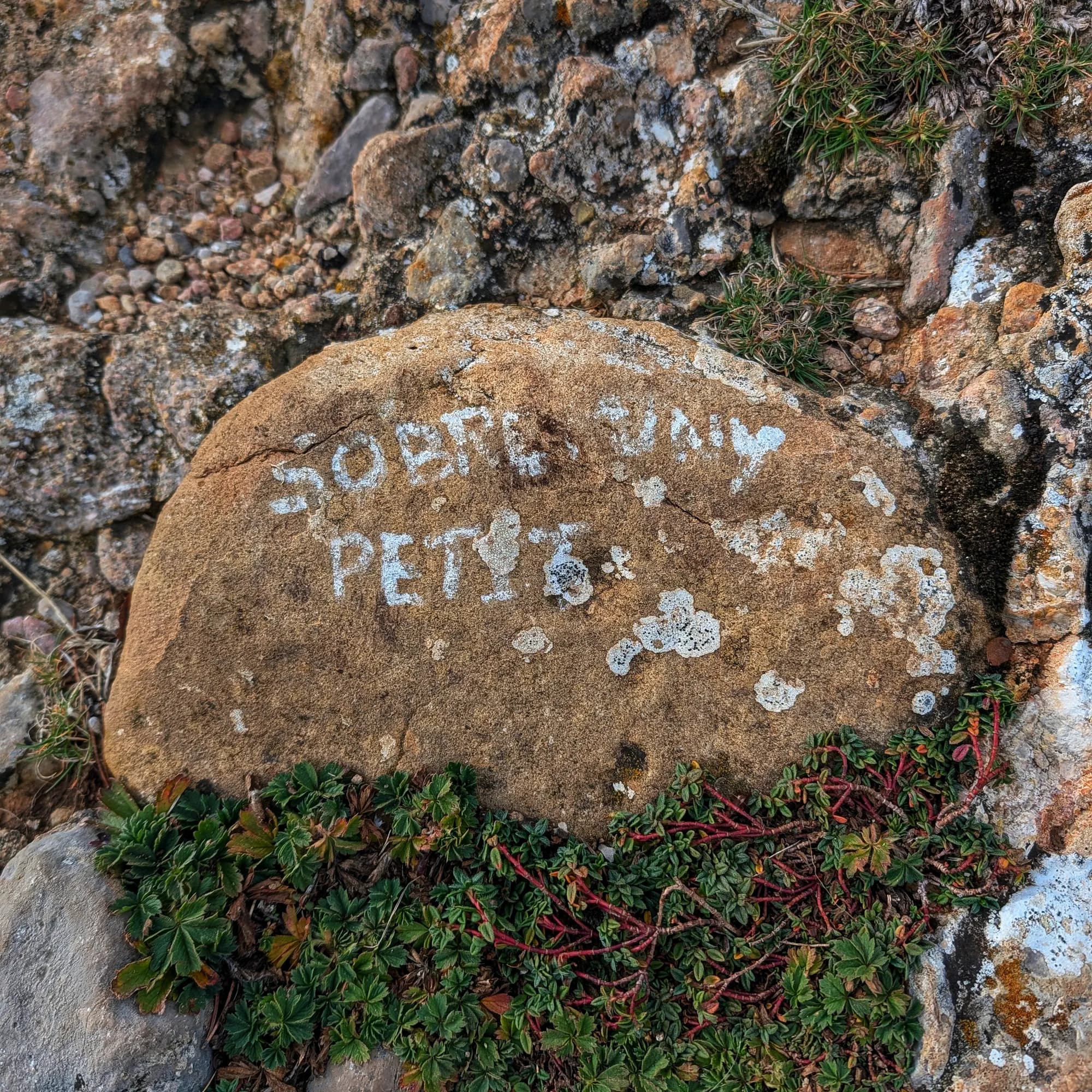 Sobrepuny de Baix Sobrepuny de Baix Peak, with excellent panoramic views.