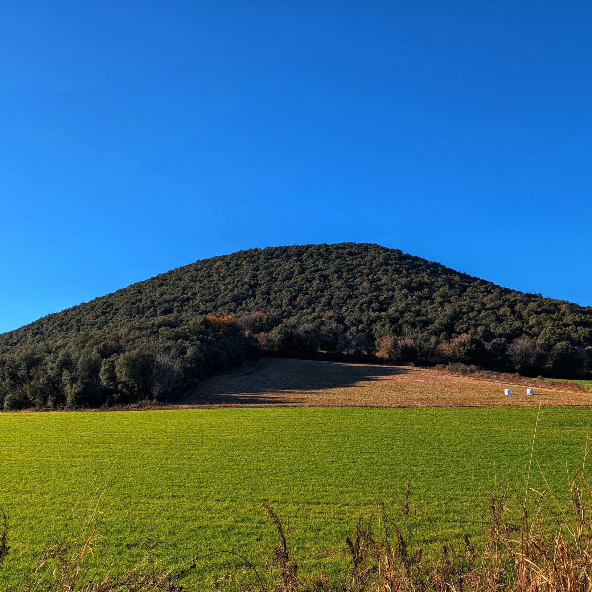 Vistes del volcà del Croscat, un dels cons volcànics més ben conservats de la Zona Volcànica de la Garrotxa. Paisatge amb el volcà del Croscat.