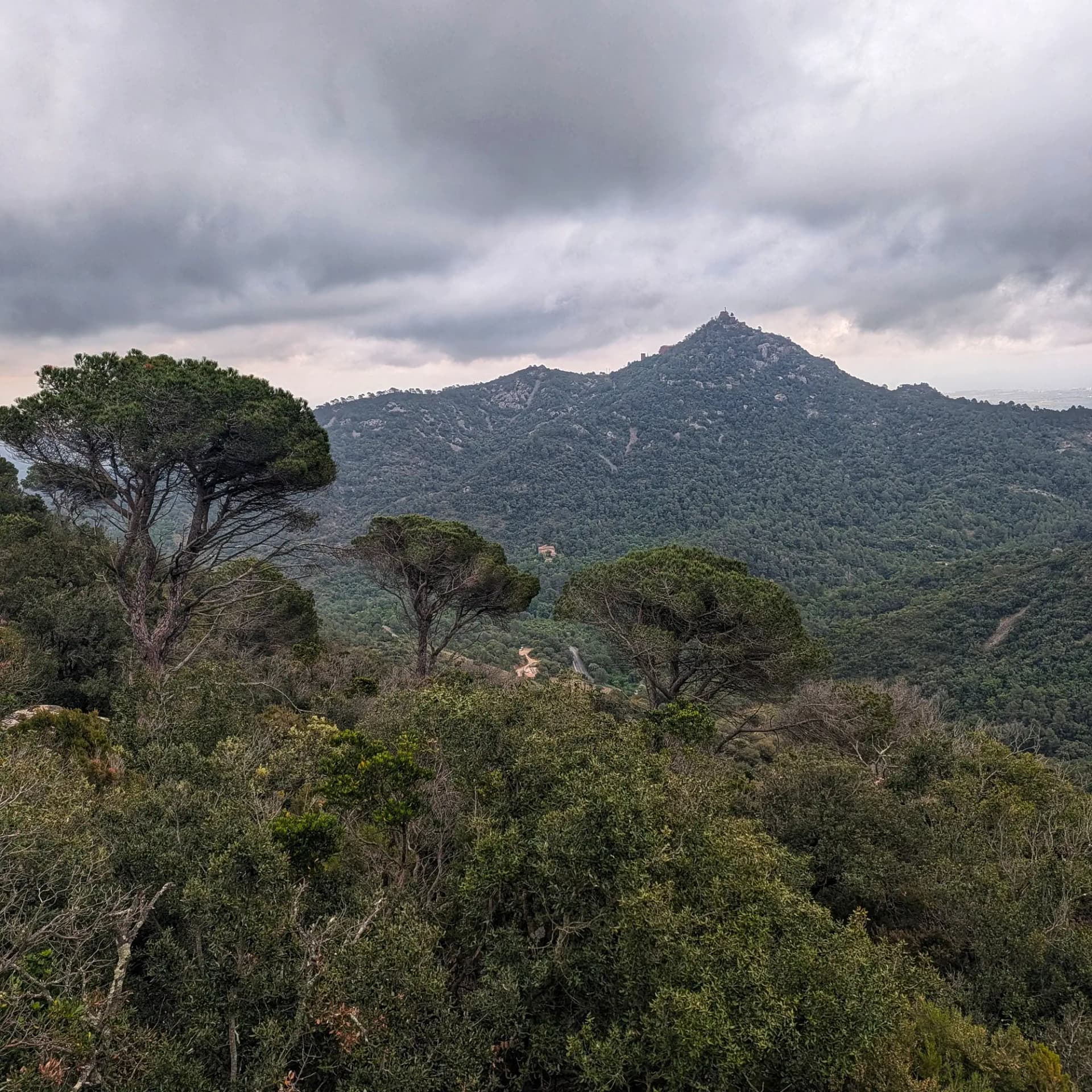 El Castell d'Escornalbou emergeix al cim d'una muntanya coberta de vegetació densa, observat durant un recorregut per la zona sota un cel ennuvolat. Vista panoràmica de muntanyes boscoses sota cel gris, amb el Castell d'Escornalbou al cim d'un pic distant.