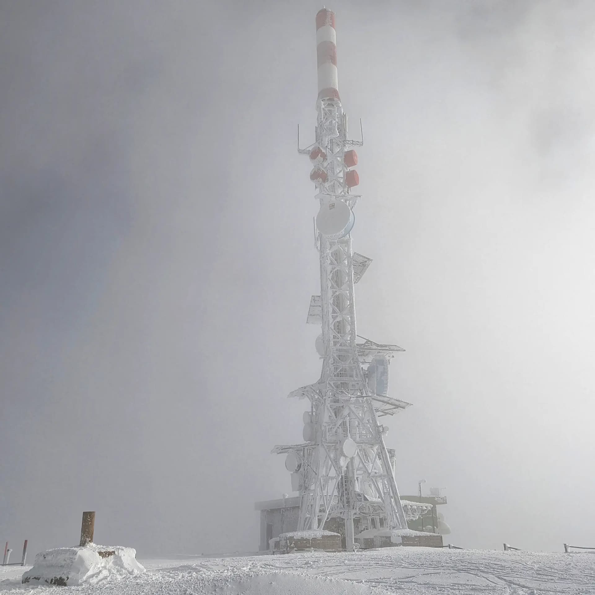 El cim de la Torreta de l'Orri, cobert de neu i envoltat per boira. Cim de la Torreta de l'Orri nevat sota la boira.