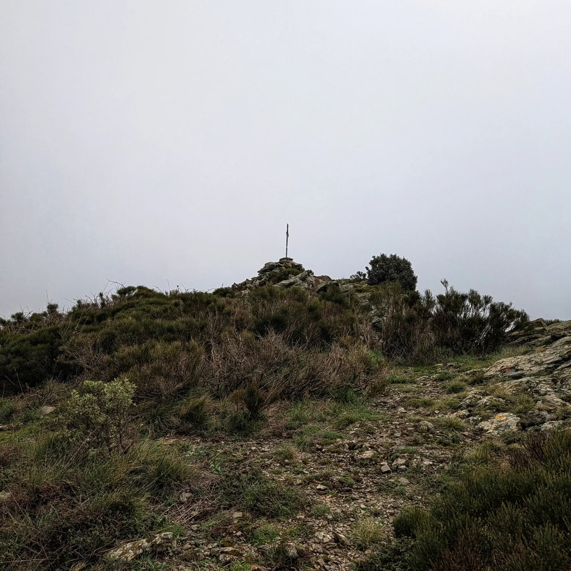 Panorámica del Puig d'en Jordà en un día nublado, mostrando la vegetación de matorral y su cima rocosa con un marcador. Cumbre rocosa con matorral y un poste marcador bajo un cielo nublado.
