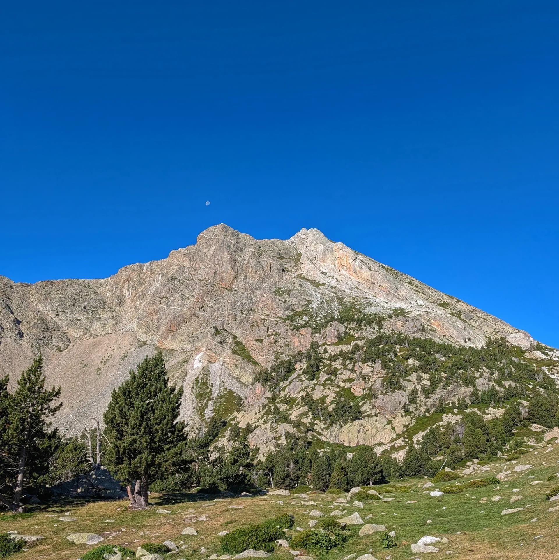 Vistes majestuoses del Gra de Fajol (2714m) sobre boscos de pi i prats verds sota un cel blau clar, amb la lluna visible. Un moment serè capturat durant una volta per Vallter. Pic de muntanya rocós sota cel blau clar amb una petita lluna. Pendents verdes amb pins i roques al primer pla.