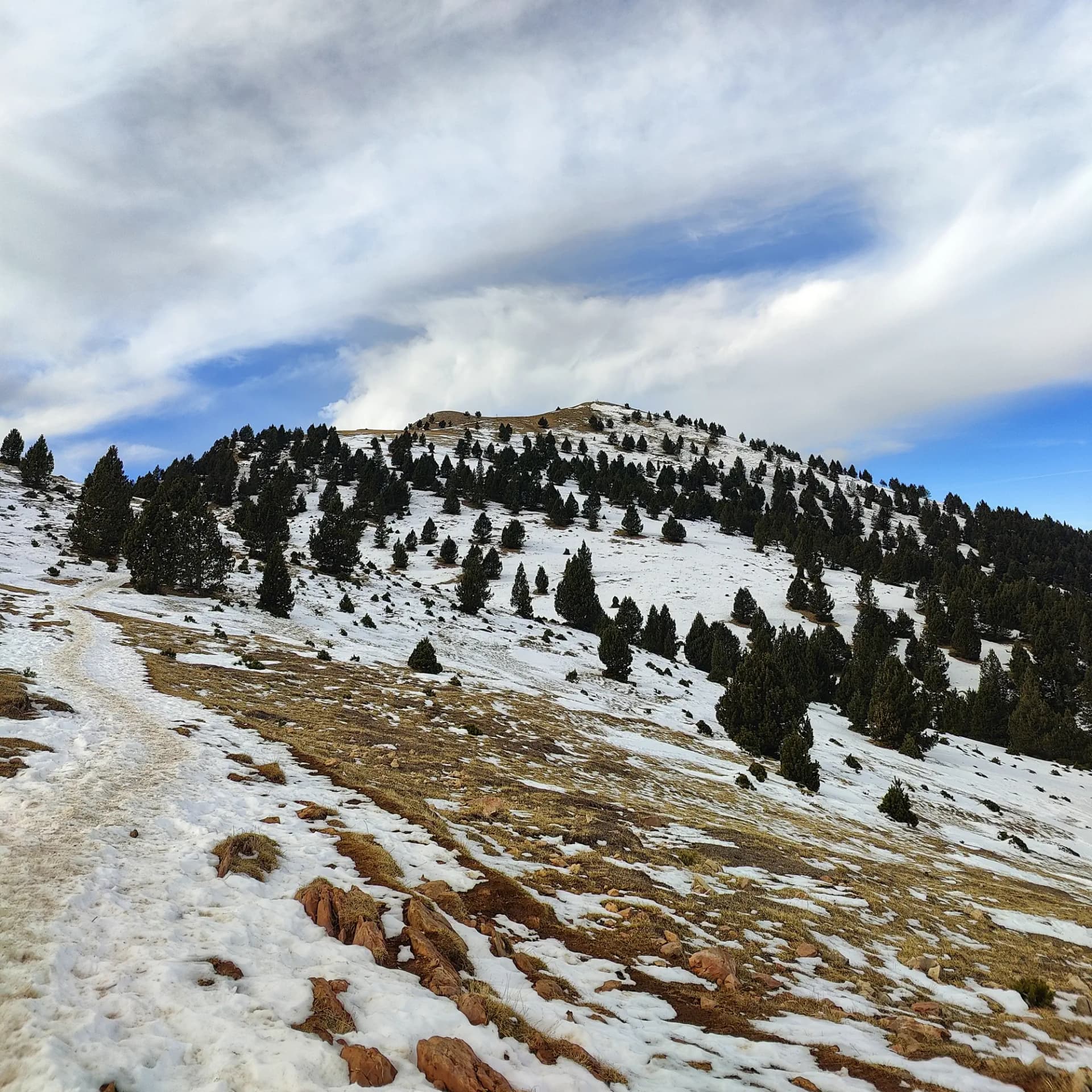 Panorámica del Cap de la Gallina Pelada, con un sendero sinuoso parcialmente nevado que sube hacia la cumbre. La ladera presenta pinos dispersos y manchas de nieve y vegetación seca bajo un cielo luminoso con nubes. Sendero nevado ascendente con pinos dispersos y zonas marrones bajo cielo azul nuboso.