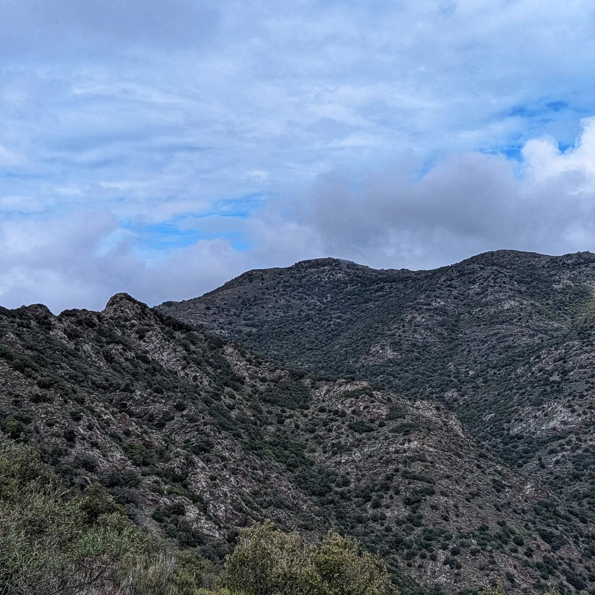 Vistas del Puig d'en Jordà, mostrando sus montañas rocosas cubiertas de densa vegetación mediterránea bajo un cielo parcialmente nublado. Vistas de montañas rocosas con vegetación densa bajo un cielo parcialmente nublado.